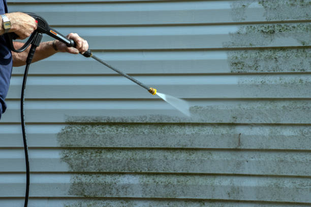 Best Residential Pressure Washing Services  in La Porte, TX
