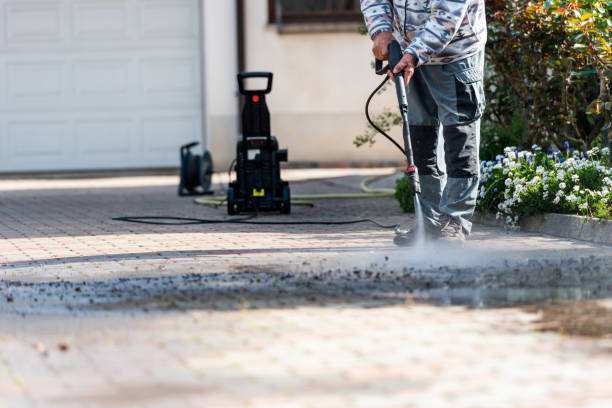Best Local Pressure Washing Services  in La Porte, TX