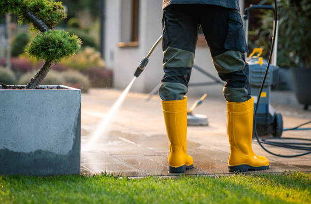 Deck Cleaning Services in La Porte, TX
